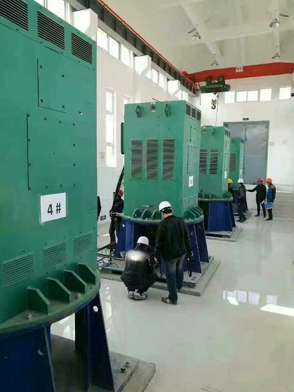 Y710-16某污水处理厂使用我厂的立式高压电机安装现场