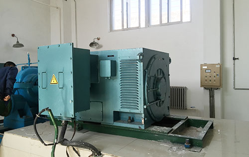 Y710-16某水电站工程主水泵使用我公司高压电机品质保证