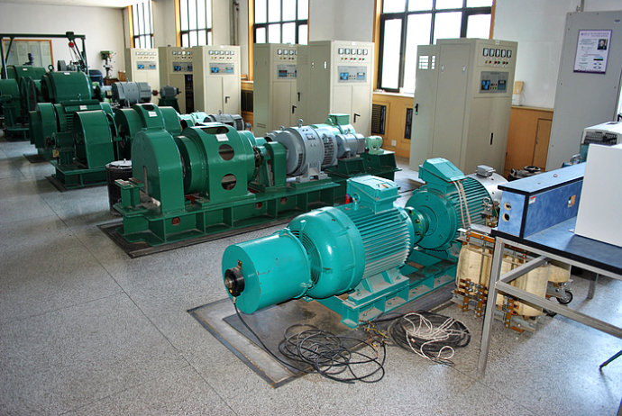 Y710-16某热电厂使用我厂的YKK高压电机提供动力